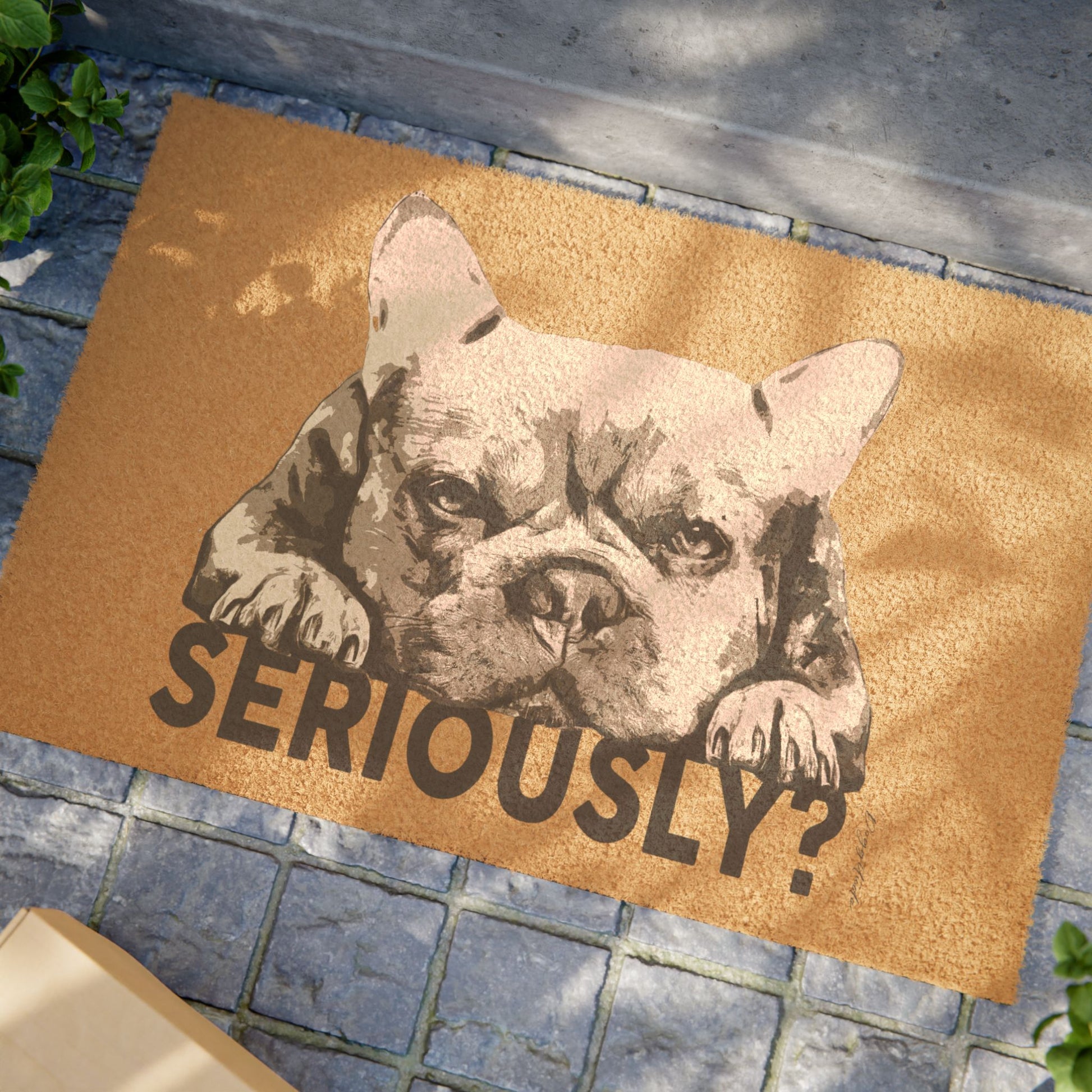 Funny Dog Doormat – “Seriously?” Welcome Mat for Pet Lovers & Dog Owners
