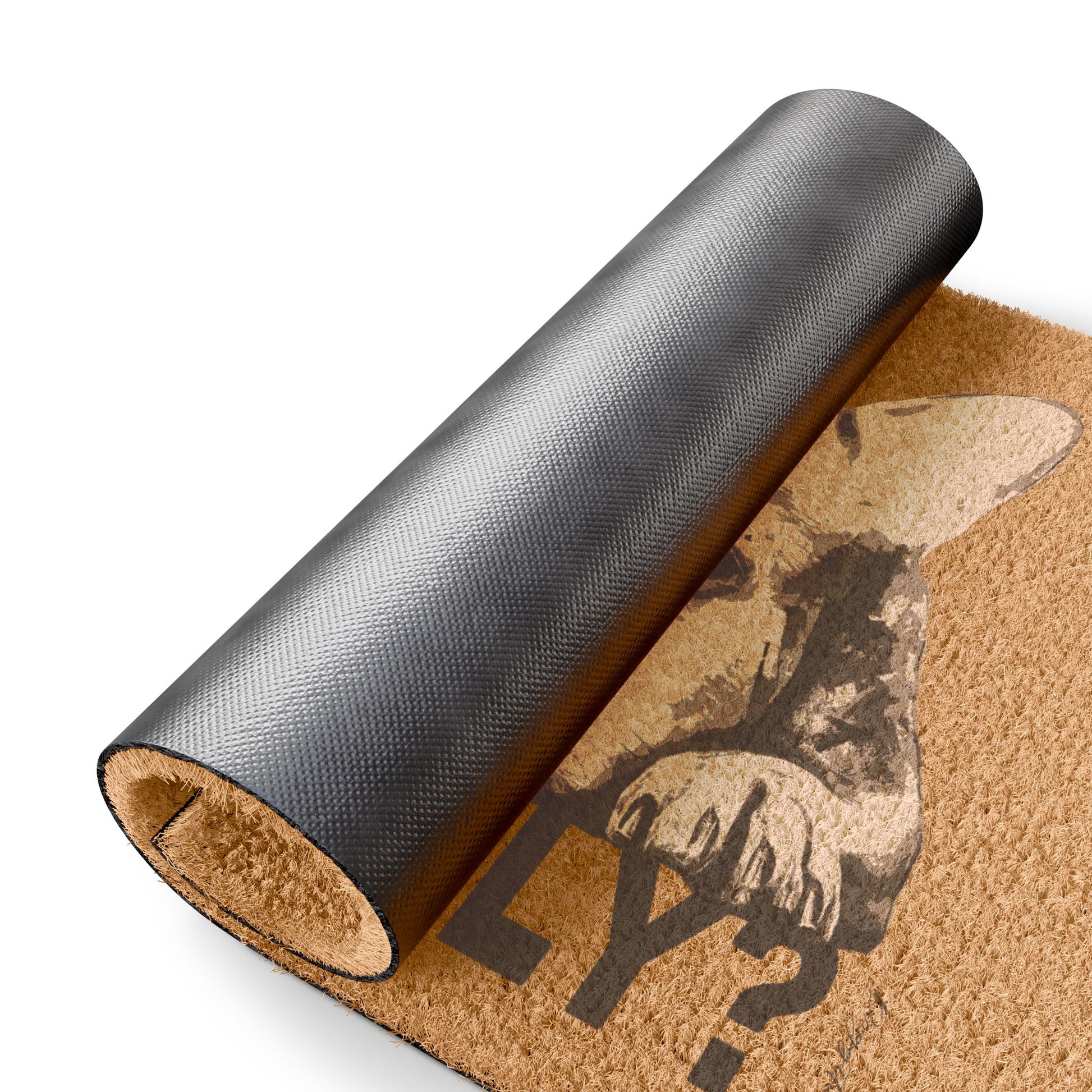 Funny Dog Doormat – “Seriously?” Welcome Mat for Pet Lovers & Dog Owners